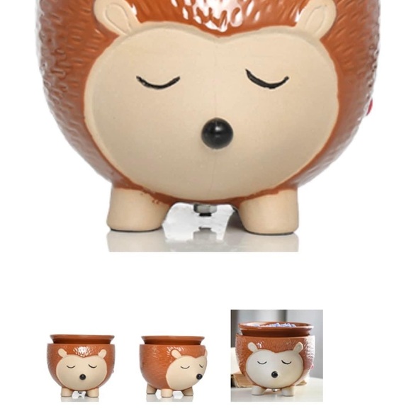 Pink Zebra Porcupine Simmer Pot ~ Hard To Find + Bonus 2 Full Bags of Sprinkles - Picture 3 of 13